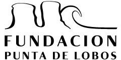 Fundación Punta De Lobos - El Ruco Surf Shop