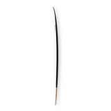Tabla de Surf Long Rider Firewire